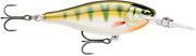 gildedyellowperch