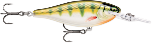 gildedyellowperch