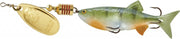 gold perch 2