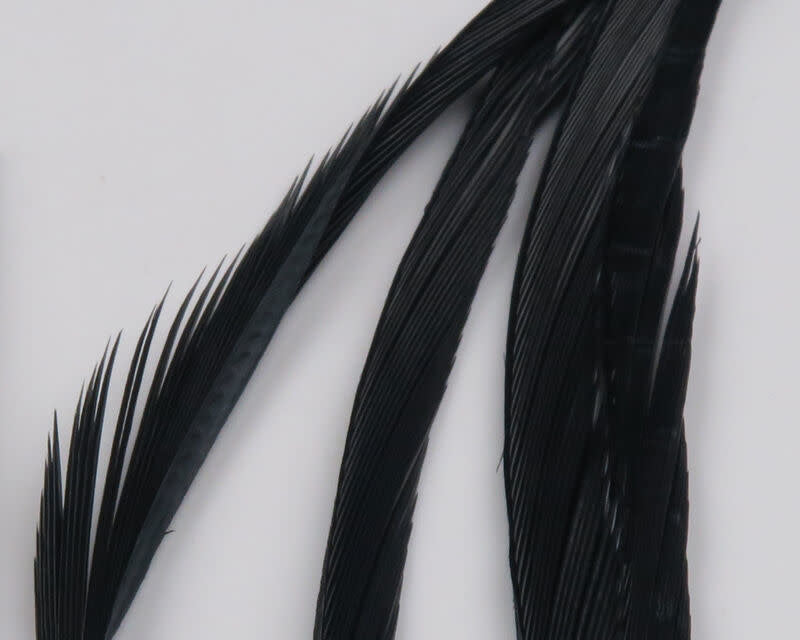 GOOS001