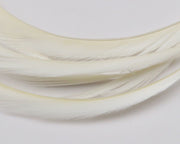 GOOS027