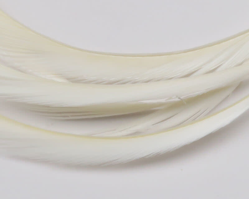 GOOS027