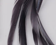 GOOS050