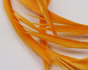 GOOS074