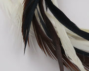 GOOS227