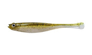 GREEN-PUMPKIN-SHAD