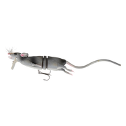 grey rat