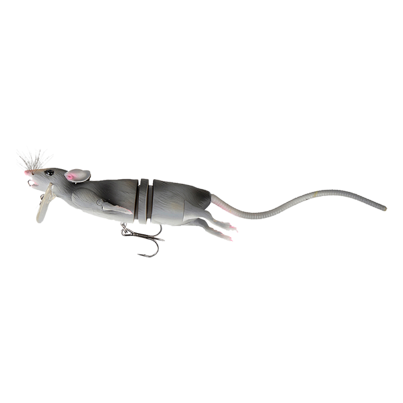 grey rat
