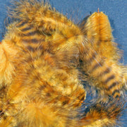 grizzly golden brown
