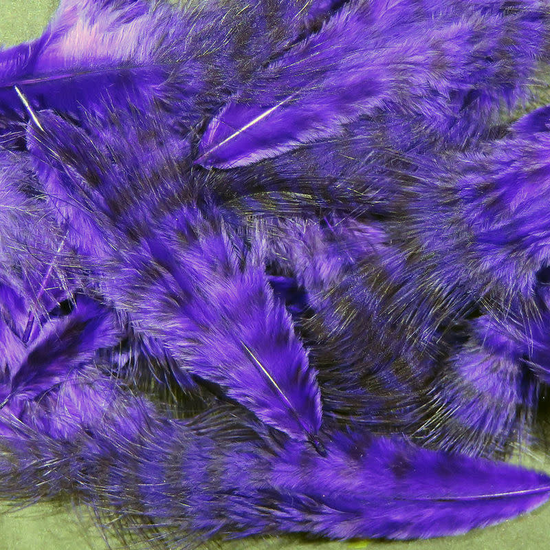 grizzly purple