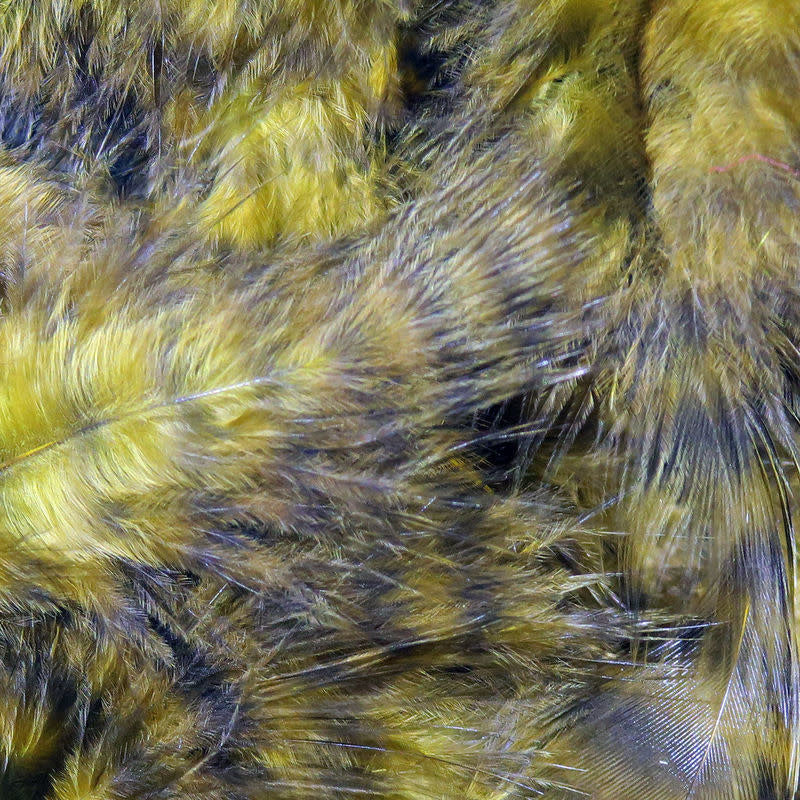grizzly sculpin olive