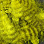 grizzly yellow