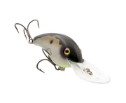 hc5xde-427_5xdelitemiragegizzardshad_main