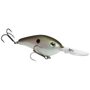 hc6xdhk-568_hardknock_greengizzardshad_main