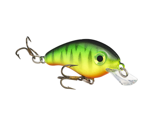 hcbpm-513_bitsyminnow_firetiger_glamright2