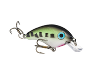 hcbpm-531_bitsyminnow_babybass_glamright2