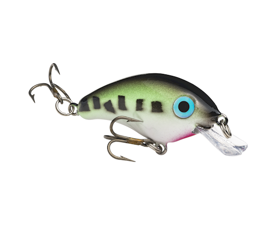 hcbpm-531_bitsyminnow_babybass_glamright2