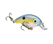 hcbpm-590_bitsyminnow_sexyshad_glamright2