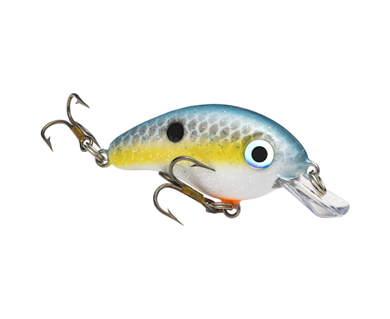 hcbpm-590_bitsyminnow_sexyshad_glamright2