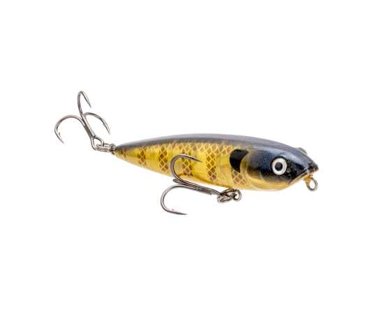 hcbsd-234_bitsydawgbluegill_main (1)