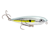 hcbsd-514_bitsydawg_chromesexyshad_main2