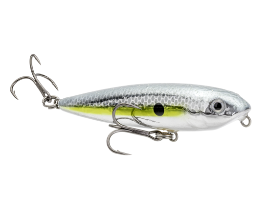 hcbsd-514_bitsydawg_chromesexyshad_main2