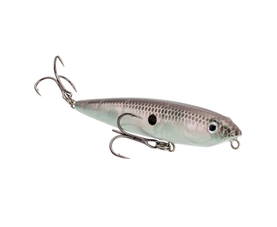 hcbsd-568_bitsydawggreengizzardshad_main