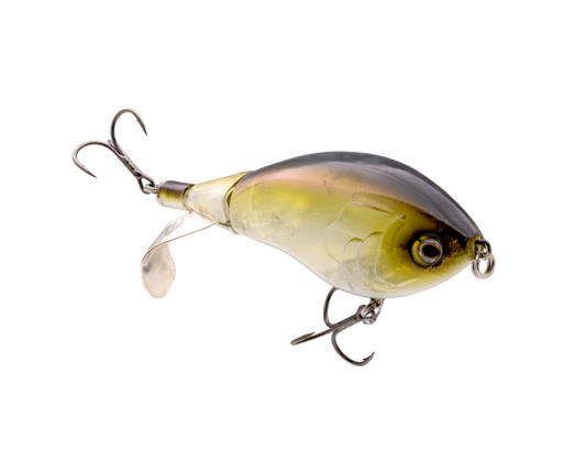hcckn3-684_clickinchickinclearwaterminnow_main