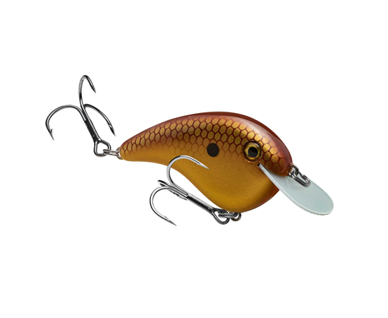 hccm-556_chickmagnet_babycarp_main