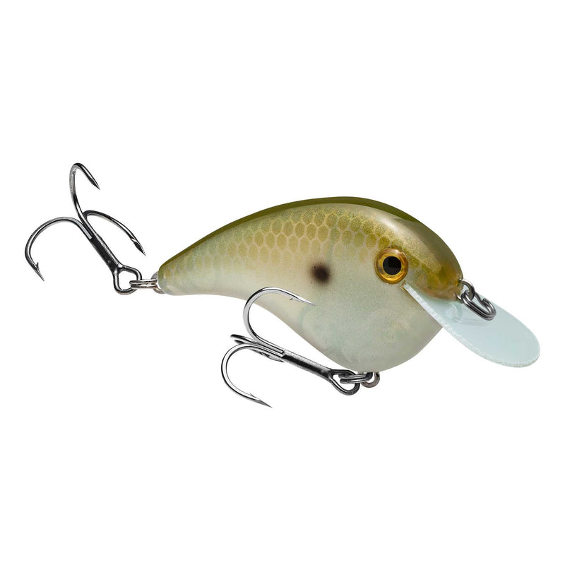 hccm-568_chickmagnet_greengizzard_main