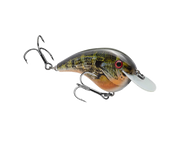 hccm-663_chickmagnet_naturalbream_main
