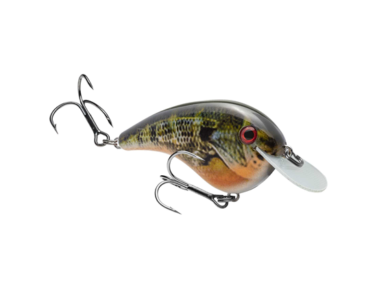 hccm-663_chickmagnet_naturalbream_main