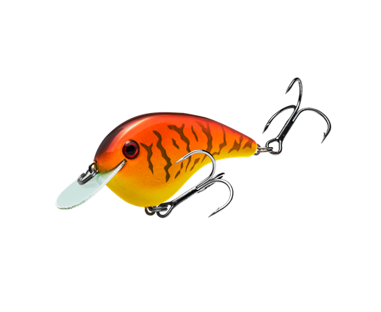 hccmj-341_chickmagnetjr_springcraw_main
