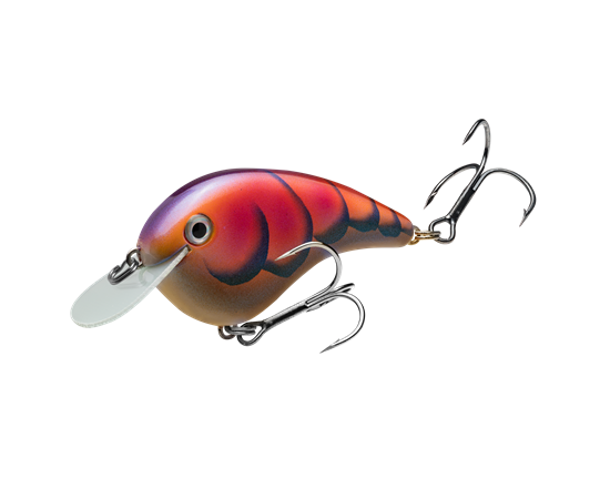 hccmj-344_chickmagnetjr_bluerockcraw_main
