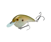 hccmj-568_chickmagnetjr_greengizzardshad_main