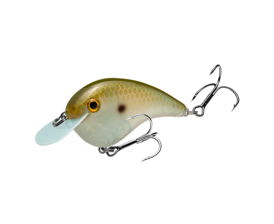 hccmj-568_chickmagnetjr_greengizzardshad_main