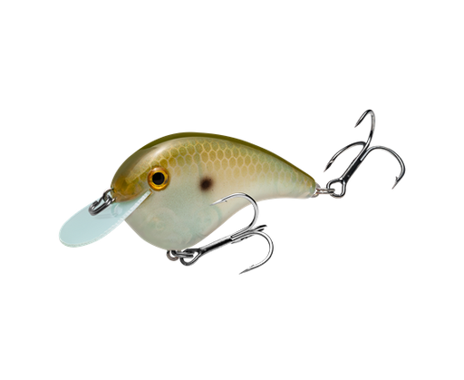 hccmj-568_chickmagnetjr_greengizzardshad_main