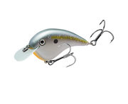 hccmj-591_chickmagnetjr_sexyshad2_main