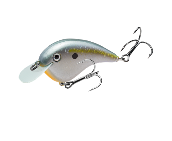 hccmj-591_chickmagnetjr_sexyshad2_main