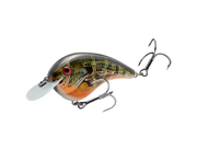 hccmj-663_chickmagnetjr_naturalbream_main