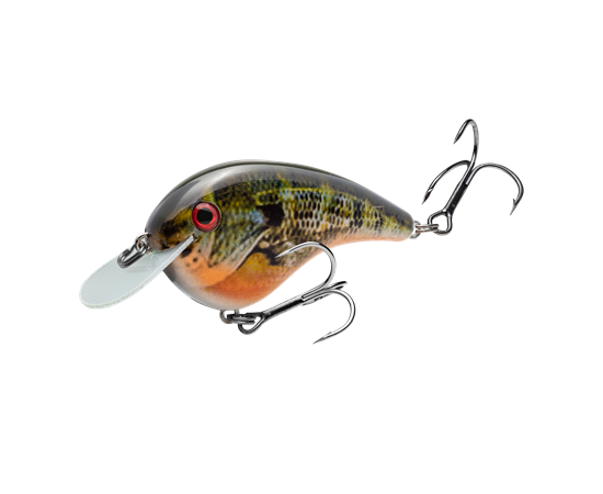 hccmj-663_chickmagnetjr_naturalbream_main