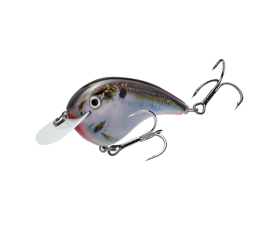 hccmj-699_chickmagnetjr_naturalshad_main