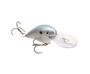 hcgdawg10-591_graveldawgsexyshad2.0_main