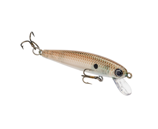 hcjb-568_bitsyjerkbait_greengizzard_main