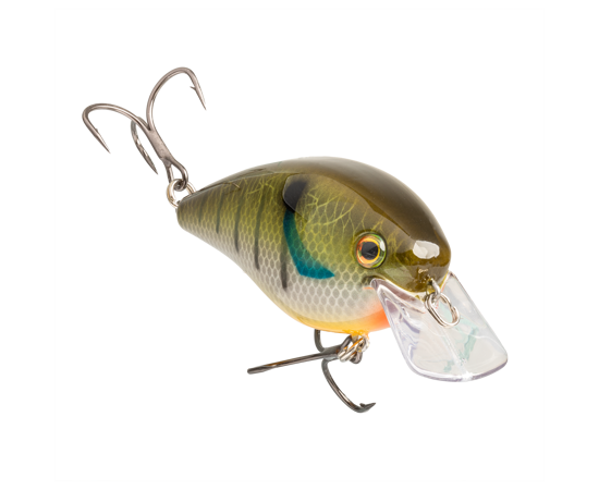 Strike King KVD Elite 1.5 Squarebill Crankbait
