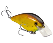 hckvd1.5hk-467_kvd1.5hardknock_bully_glamright