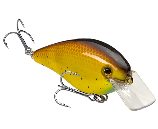 hckvd1.5hk-467_kvd1.5hardknock_bully_glamright