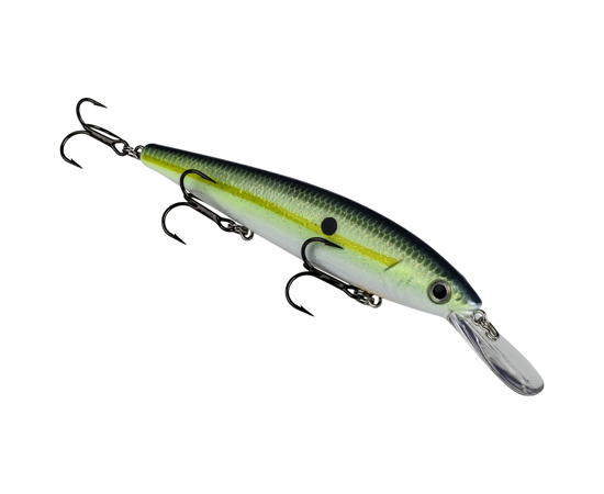 hckvdj300d-538_kvdj300d_chartsexyshad_glamright2