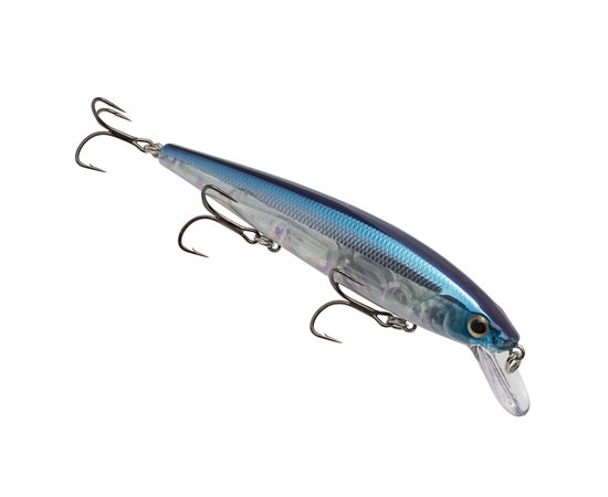 hckvdj300e-331_kvdelite300_problueflash_main