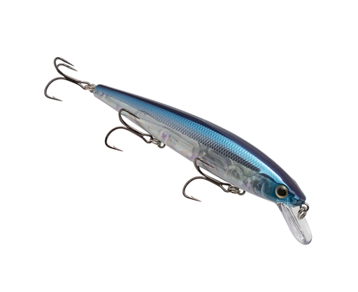 hckvdj300e-331_kvdelite300_problueflash_main